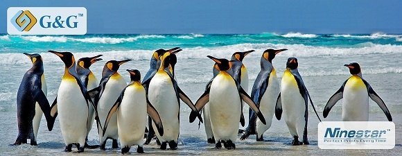 Пингвины бесплатно, надо? Пингвины бесплатно, надо?