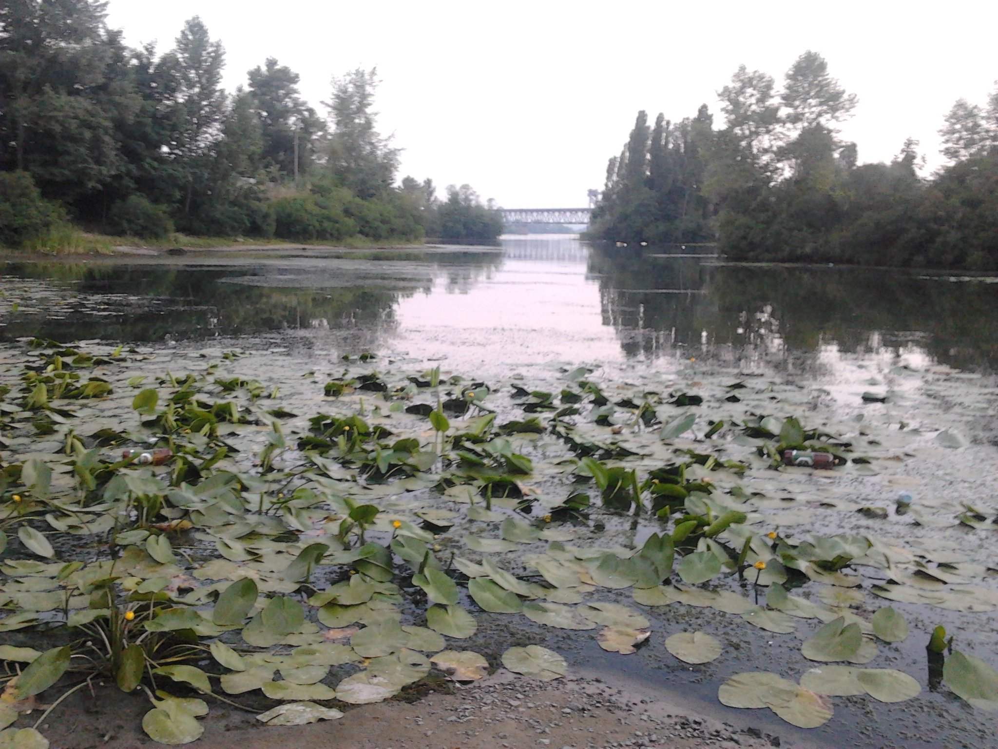 Вночі кременчужани задихалися від смороду Вночі кременчужани задихалися від смороду