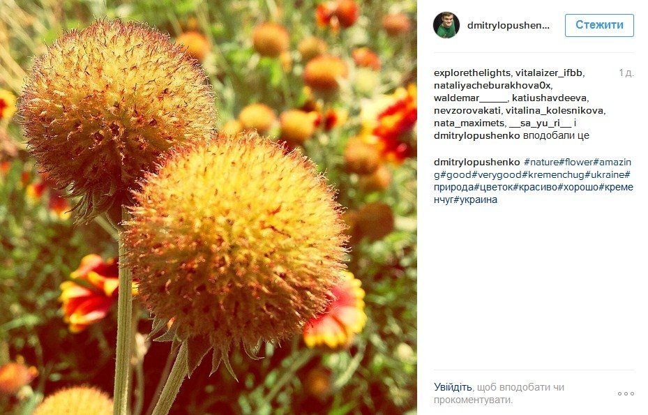 Наш ответ флешмобу с пакетом «АТБ» и очень жаркая полиция Наш ответ флешмобу с пакетом «АТБ» и очень жаркая полиция