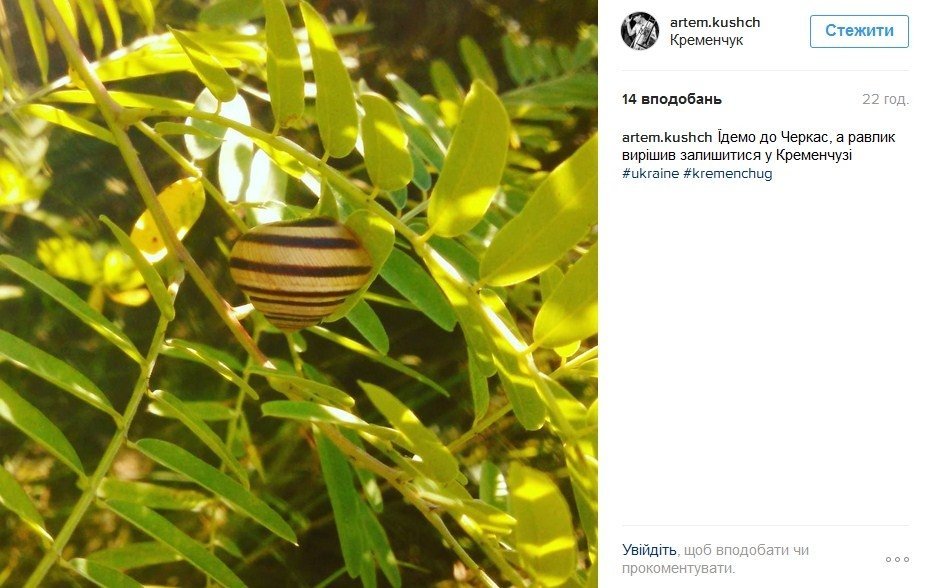 Наш ответ флешмобу с пакетом «АТБ» и очень жаркая полиция Наш ответ флешмобу с пакетом «АТБ» и очень жаркая полиция