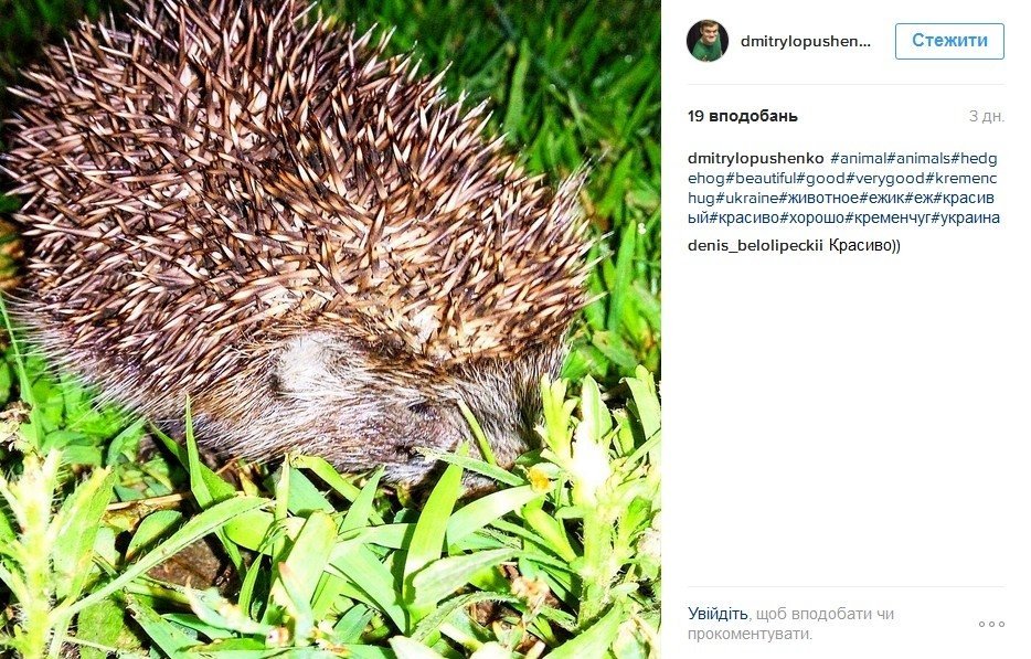 Наш ответ флешмобу с пакетом «АТБ» и очень жаркая полиция Наш ответ флешмобу с пакетом «АТБ» и очень жаркая полиция