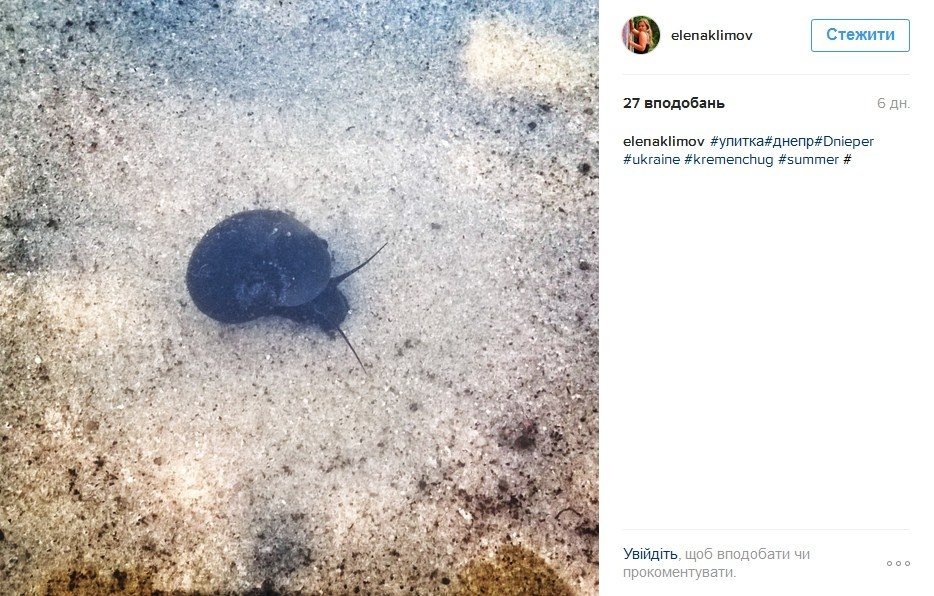 Наш ответ флешмобу с пакетом «АТБ» и очень жаркая полиция Наш ответ флешмобу с пакетом «АТБ» и очень жаркая полиция