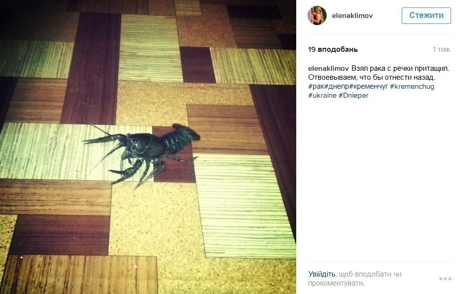 Наш ответ флешмобу с пакетом «АТБ» и очень жаркая полиция Наш ответ флешмобу с пакетом «АТБ» и очень жаркая полиция