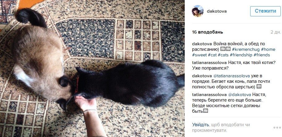 Наш ответ флешмобу с пакетом «АТБ» и очень жаркая полиция Наш ответ флешмобу с пакетом «АТБ» и очень жаркая полиция