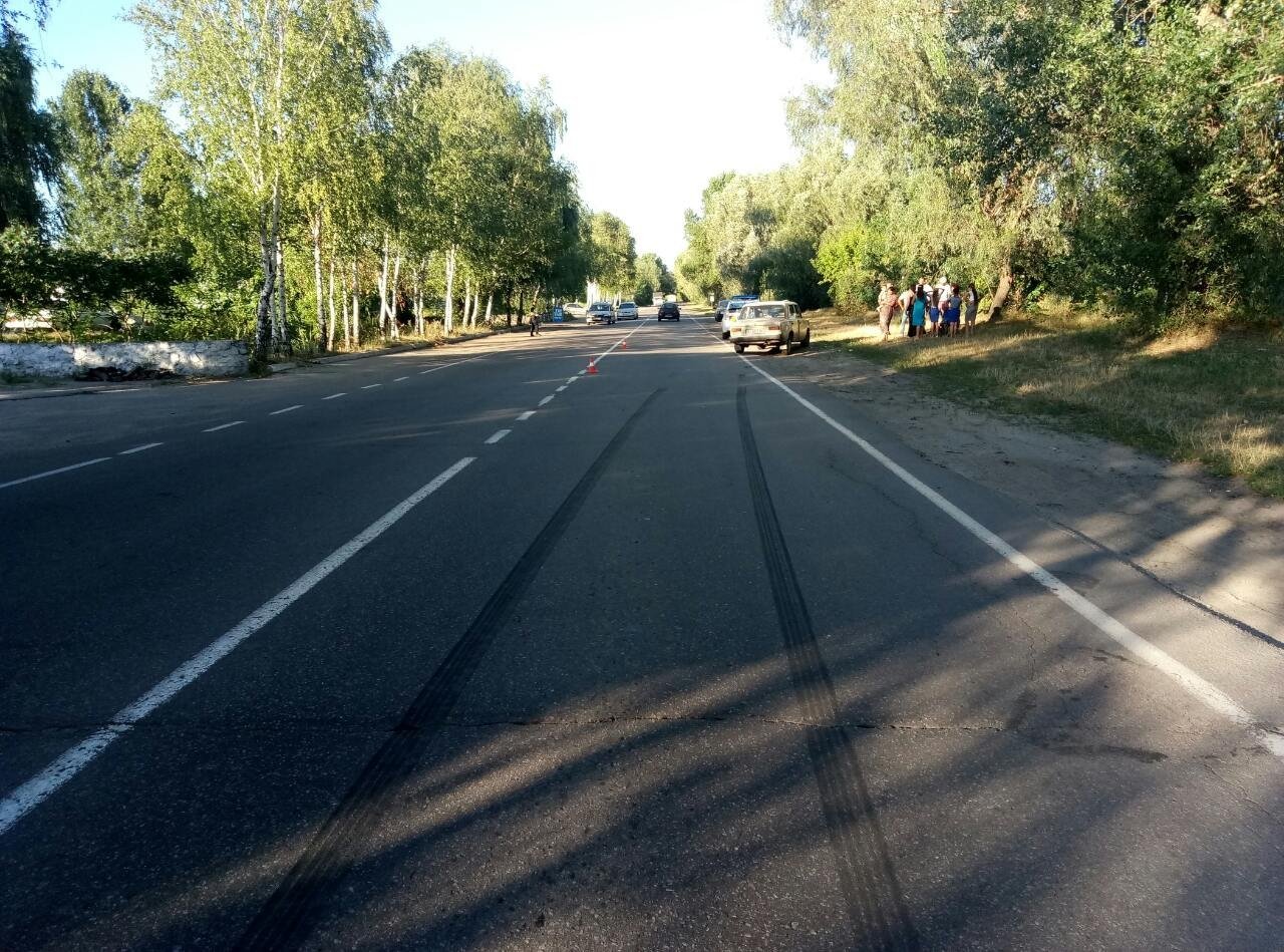 В Кременчуге ВАЗ наехал на телёнка В Кременчуге ВАЗ наехал на телёнка