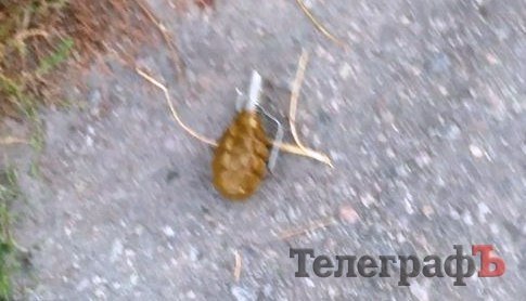 Под Кременчугом граждане ловили бывшего заключенного с гранатой Под Кременчугом граждане ловили бывшего заключенного с гранатой