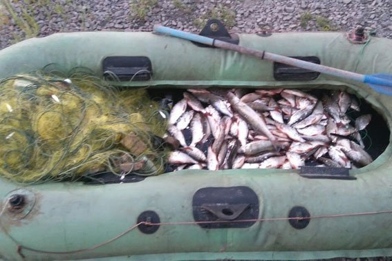 Кременчугские правоохранители поймали браконьера Кременчугские правоохранители поймали браконьера