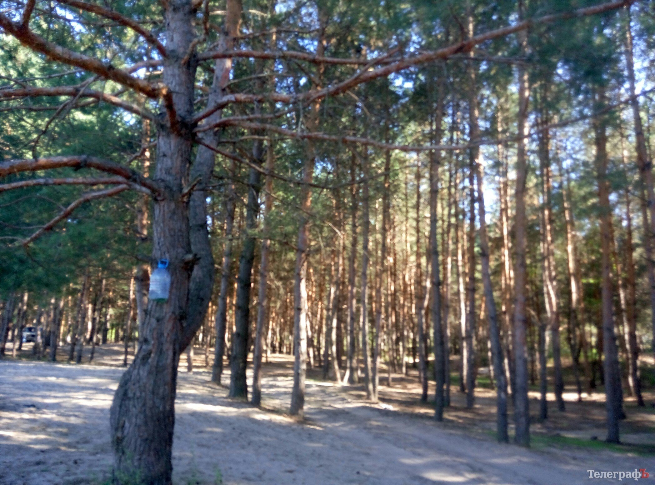 Поездка выходного дня: Голубое озеро Поездка выходного дня: Голубое озеро