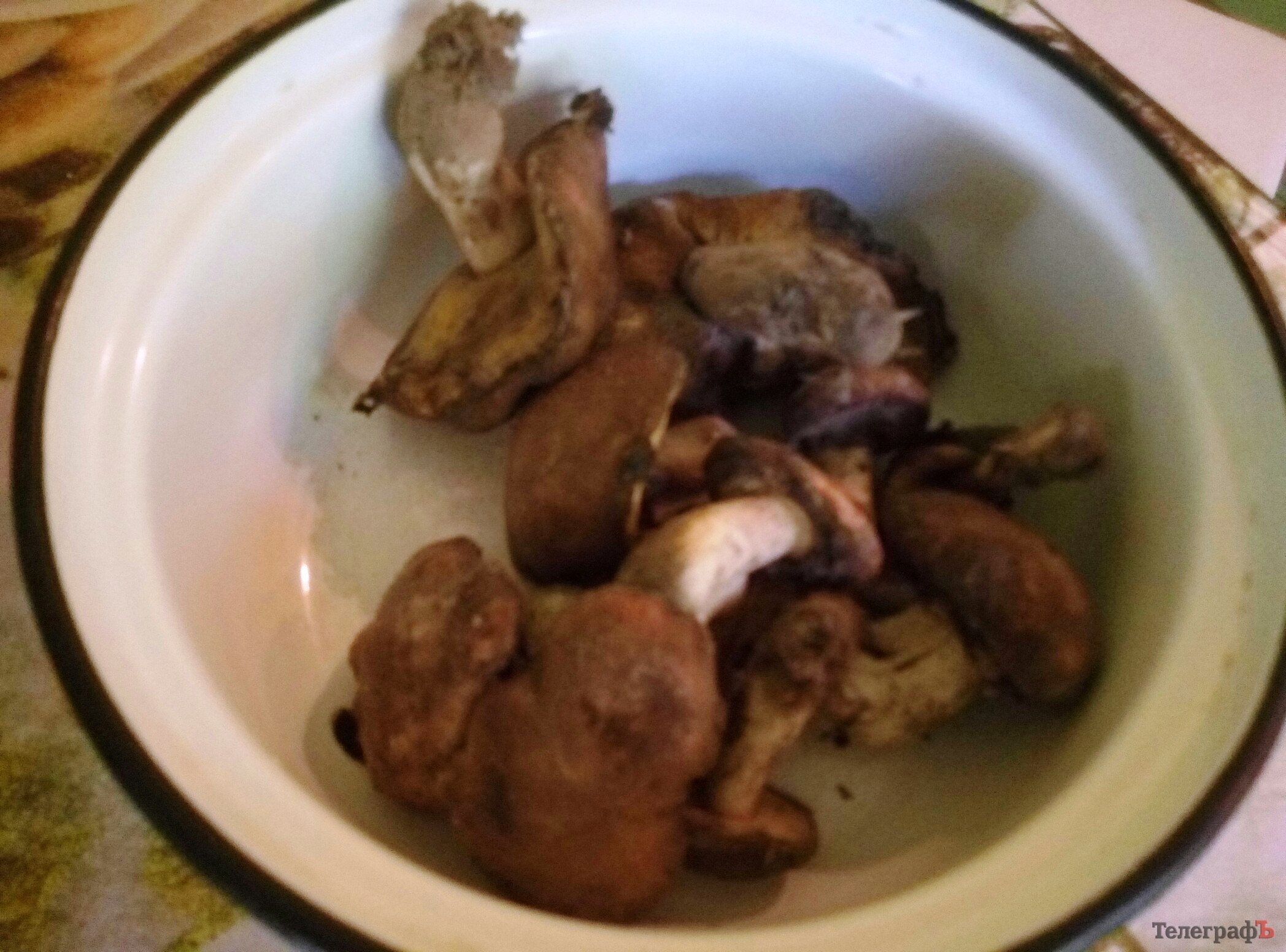 Поездка выходного дня: Голубое озеро Поездка выходного дня: Голубое озеро