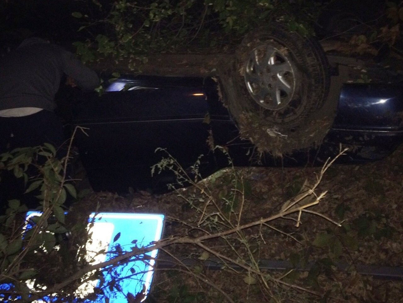 В Кременчуге на Реевке перевернулся автомобиль: водитель объезжала кошку В Кременчуге на Реевке перевернулся автомобиль: водитель объезжала кошку