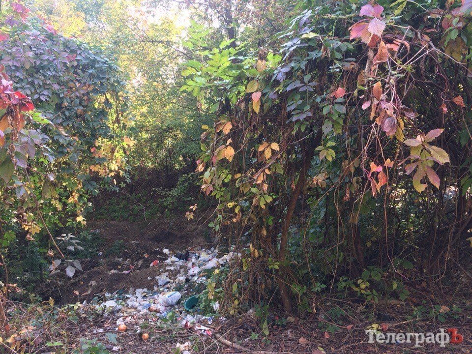 В Кременчуге в романтическом месте планируют сделать свалку для опалых листьев В Кременчуге в романтическом месте планируют сделать свалку для опалых листьев