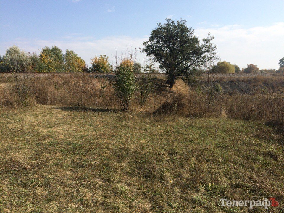 В Кременчуге в романтическом месте планируют сделать свалку для опалых листьев В Кременчуге в романтическом месте планируют сделать свалку для опалых листьев