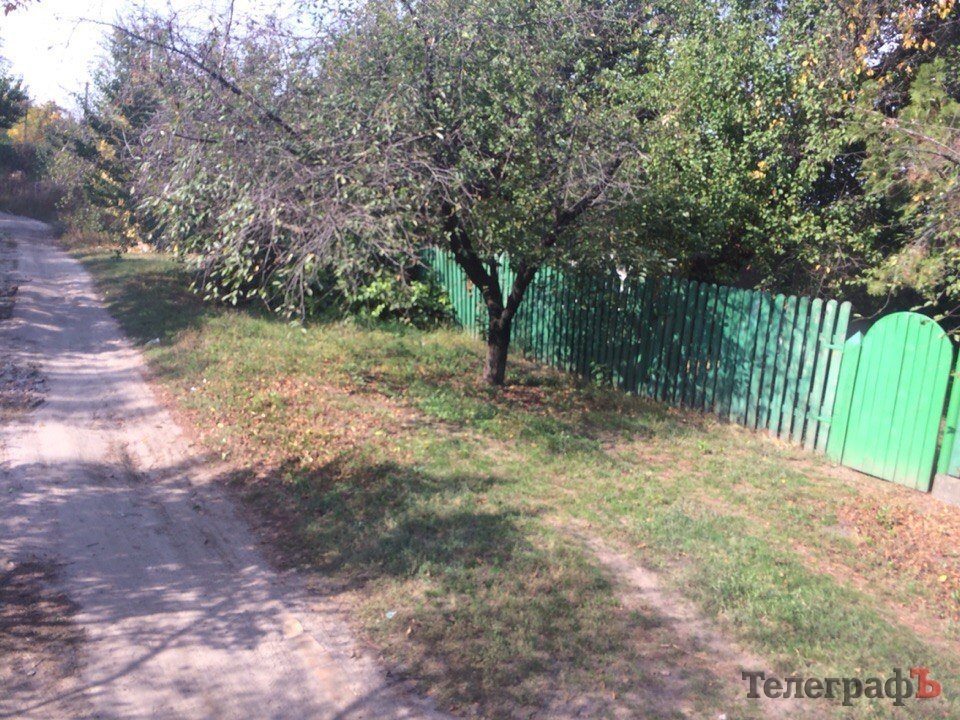 В Кременчуге в романтическом месте планируют сделать свалку для опалых листьев В Кременчуге в романтическом месте планируют сделать свалку для опалых листьев