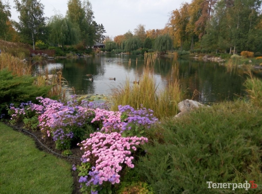Тіньовий музей, або Межигір’я сьогодні Тіньовий музей, або Межигір’я сьогодні