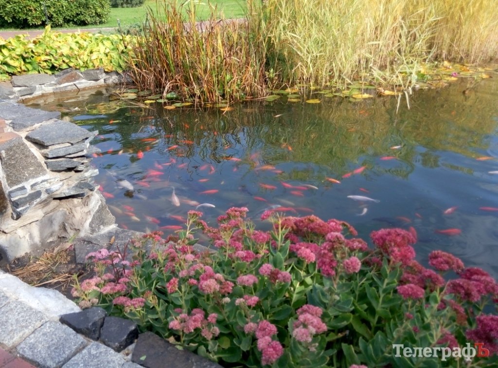 Тіньовий музей, або Межигір’я сьогодні Тіньовий музей, або Межигір’я сьогодні