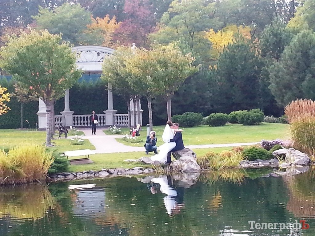 Тіньовий музей, або Межигір’я сьогодні Тіньовий музей, або Межигір’я сьогодні