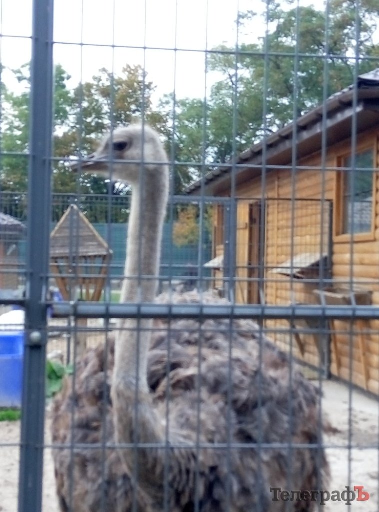 Тіньовий музей, або Межигір’я сьогодні Тіньовий музей, або Межигір’я сьогодні