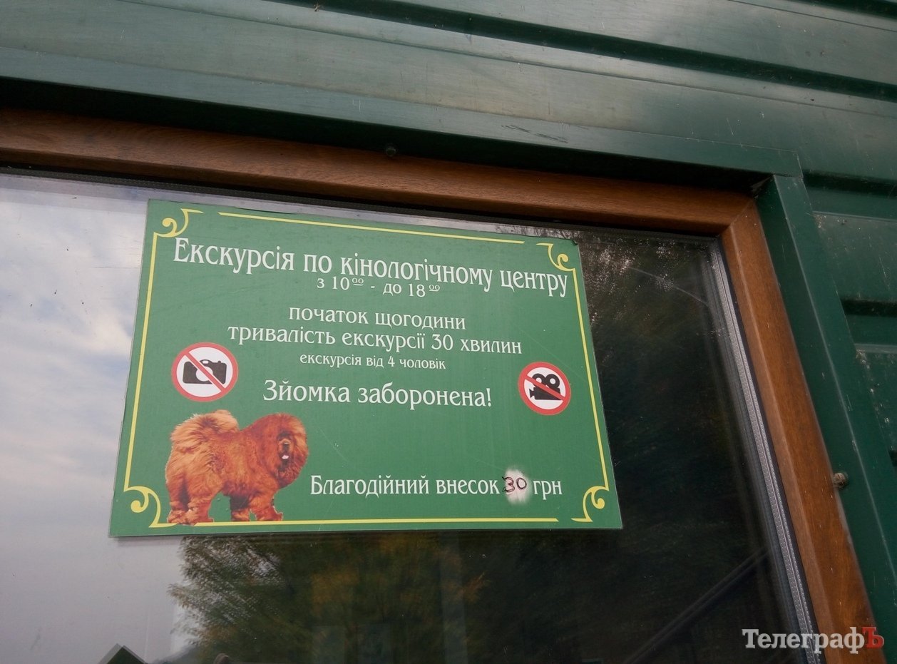 Собаки Януковича та кременчуцькі чотирилапі Собаки Януковича та кременчуцькі чотирилапі