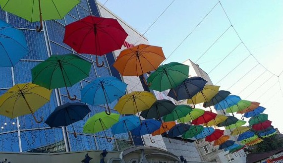 ФОТОФАКТ: Парасольки заполонили дерево у Кременчуці ФОТОФАКТ: Парасольки заполонили дерево у Кременчуці