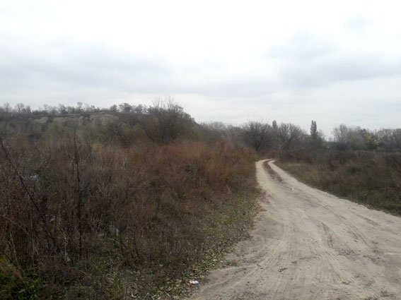 В Кременчуге нашли тело молодого человека, которого убили родственники В Кременчуге нашли тело молодого человека, которого убили родственники