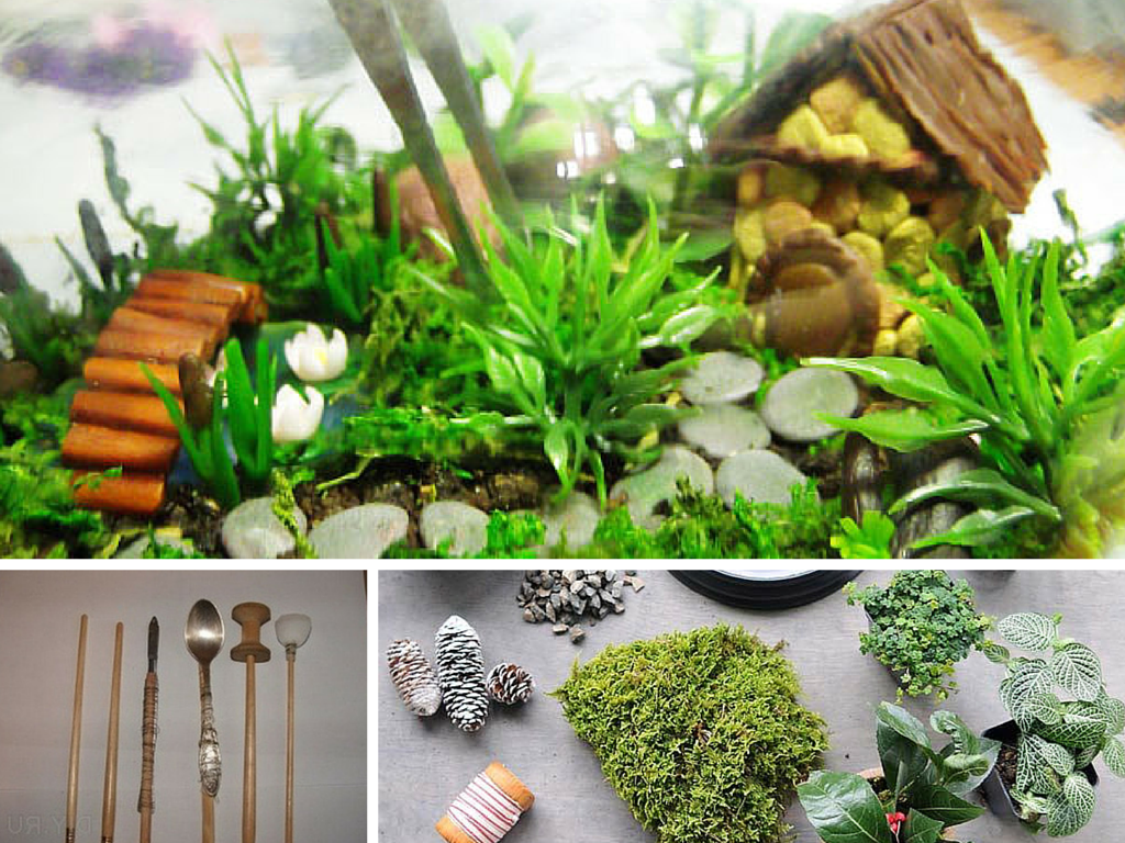 Ельфи, гноми та Святий Миколай! Ельфи, гноми та Святий Миколай!