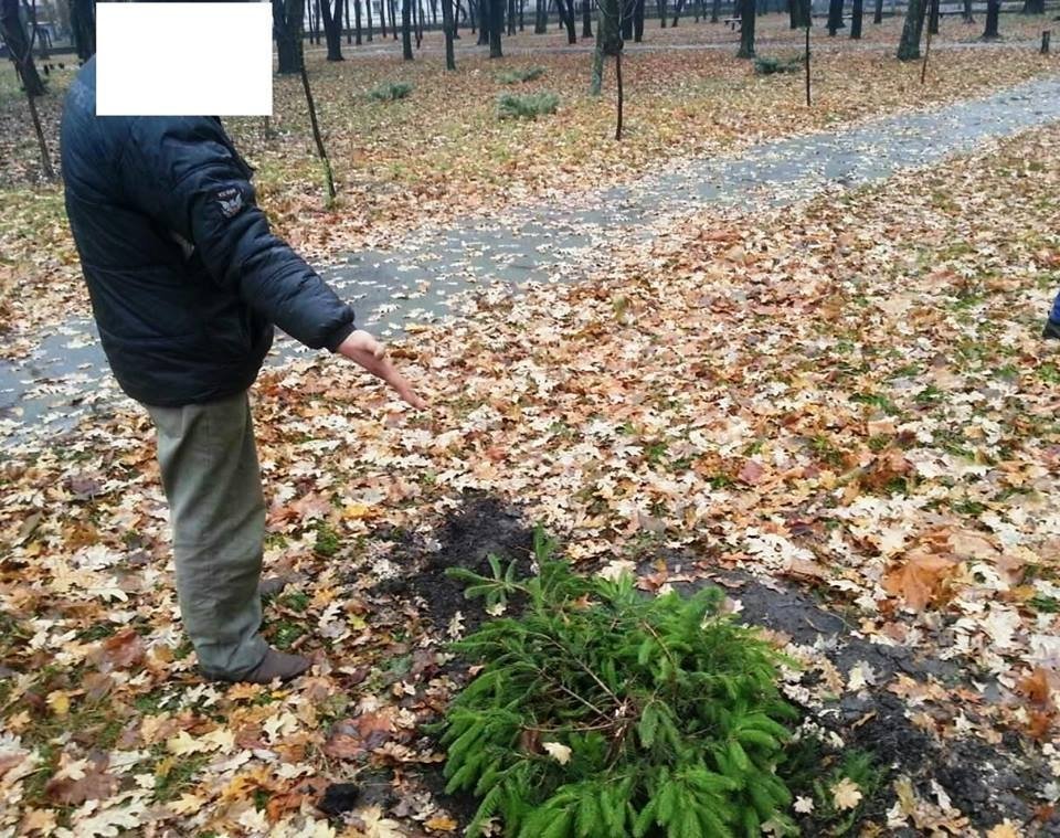 Сосну та два комбінезони для собак вкрали у Кременчуці Сосну та два комбінезони для собак вкрали у Кременчуці