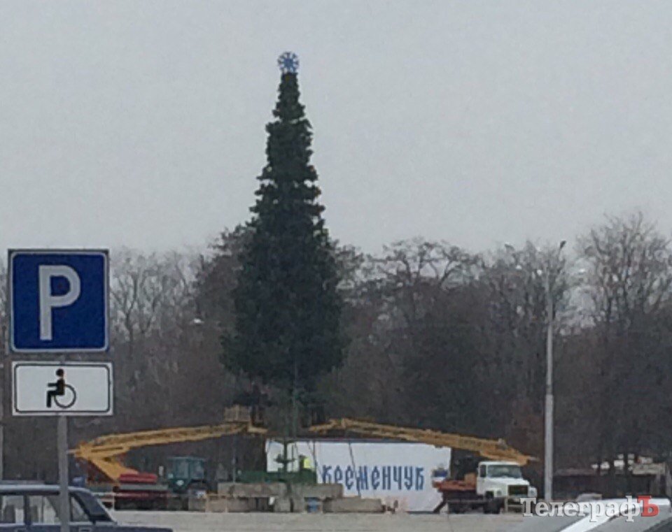 Главная ёлка Кременчуга уже полуодетая Главная ёлка Кременчуга уже полуодетая