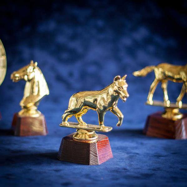 Всеукраїнський костюмований парад тварин «Кубок Хатіко» у Кременчуці: реєструйтеся тут Всеукраїнський костюмований парад тварин «Кубок Хатіко» у Кременчуці: реєструйтеся тут