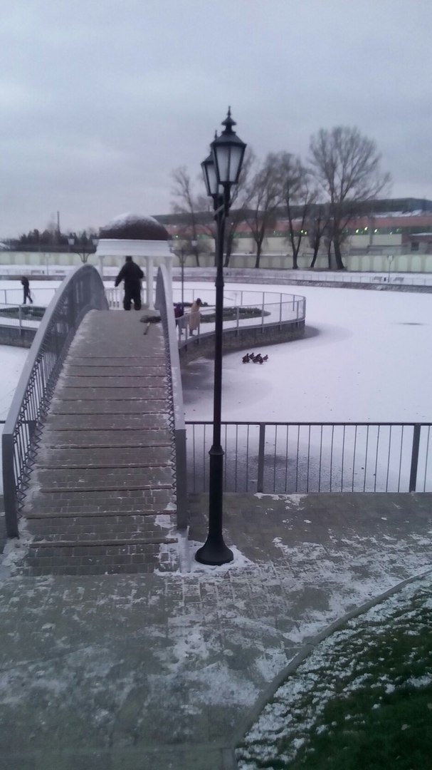 З Міського саду вже вкрали одну качку З Міського саду вже вкрали одну качку