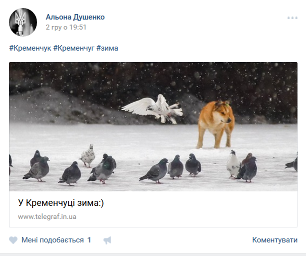 Кременчужани діляться зимою у cоціальних мережах Кременчужани діляться зимою у cоціальних мережах