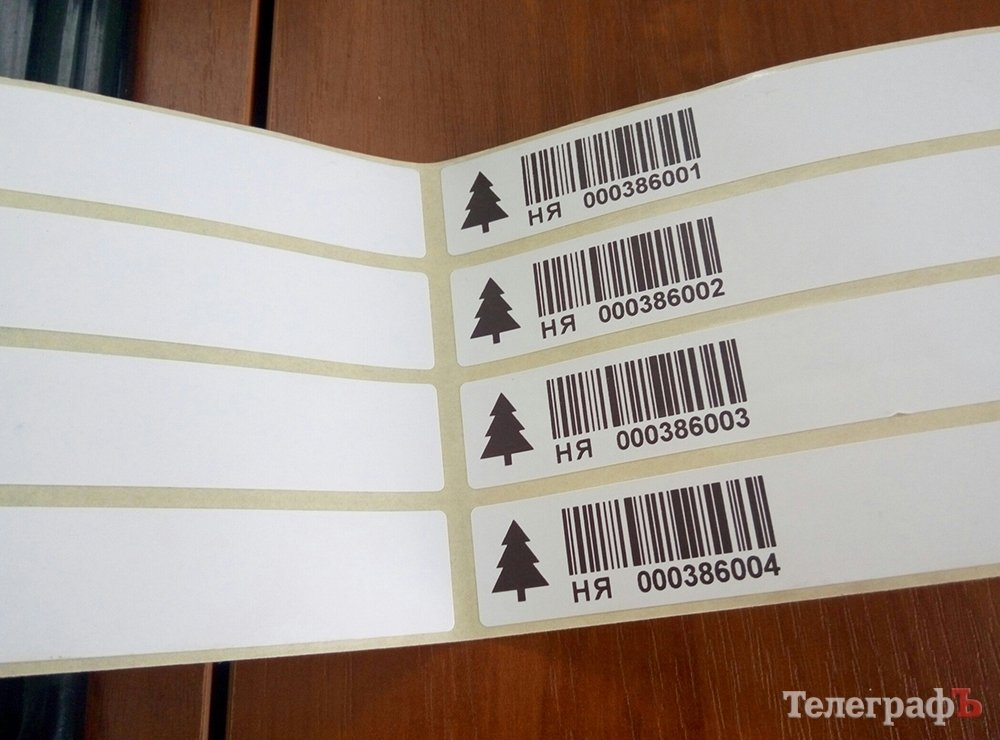 Сосну за 45 гривен и дороже: во сколько кременчужанам обойдутся новогодние деревья Сосну за 45 гривен и дороже: во сколько кременчужанам обойдутся новогодние деревья