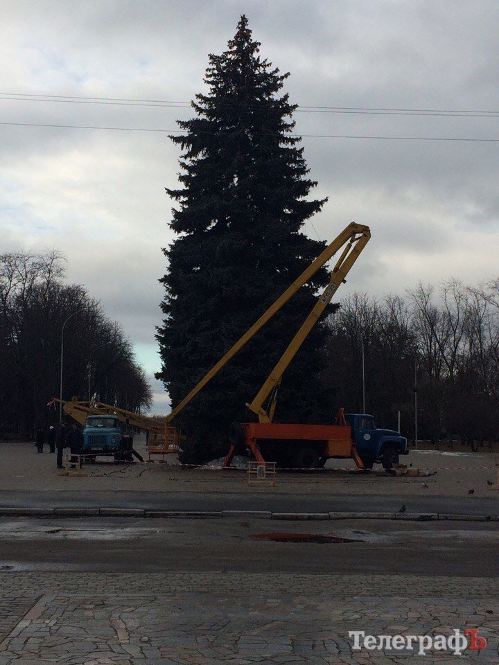 На площади Победы монтируют Рождественский городок и украшают живые елки На площади Победы монтируют Рождественский городок и украшают живые елки