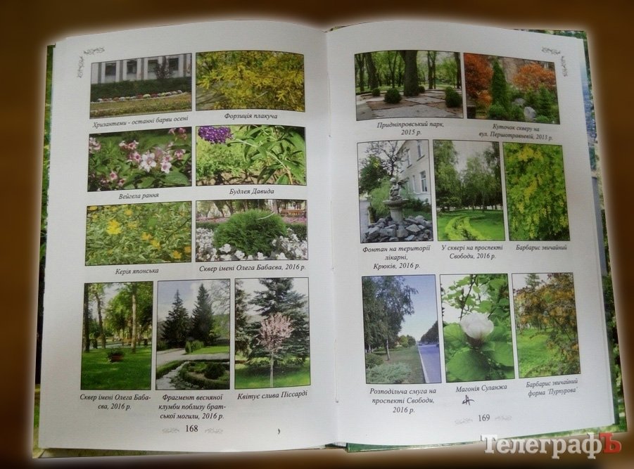 Этого вы о кременчугских парках не знали! А также шокирующая правда о субботниках! Этого вы о кременчугских парках не знали! А также шокирующая правда о субботниках!