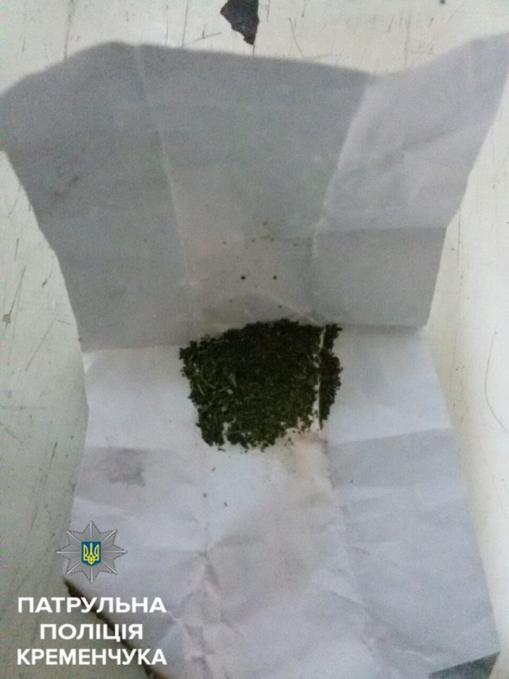 Копы помогали медикам утихомирить кременчужанина под канабисом Копы помогали медикам утихомирить кременчужанина под канабисом