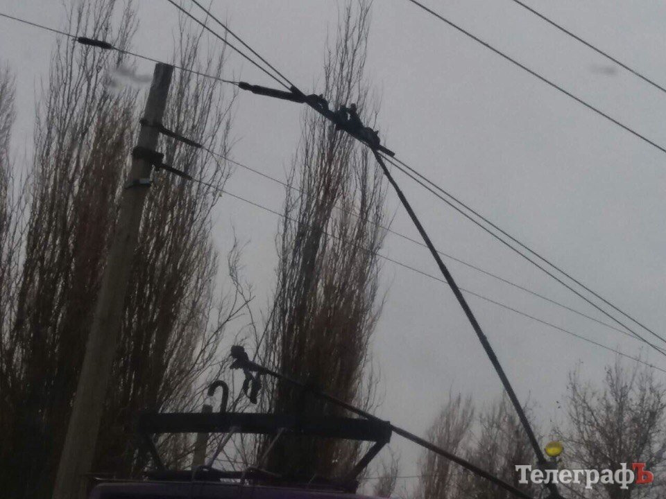 В Кременчуге любвеобильный троллейбус запутался в собственных сетях В Кременчуге любвеобильный троллейбус запутался в собственных сетях