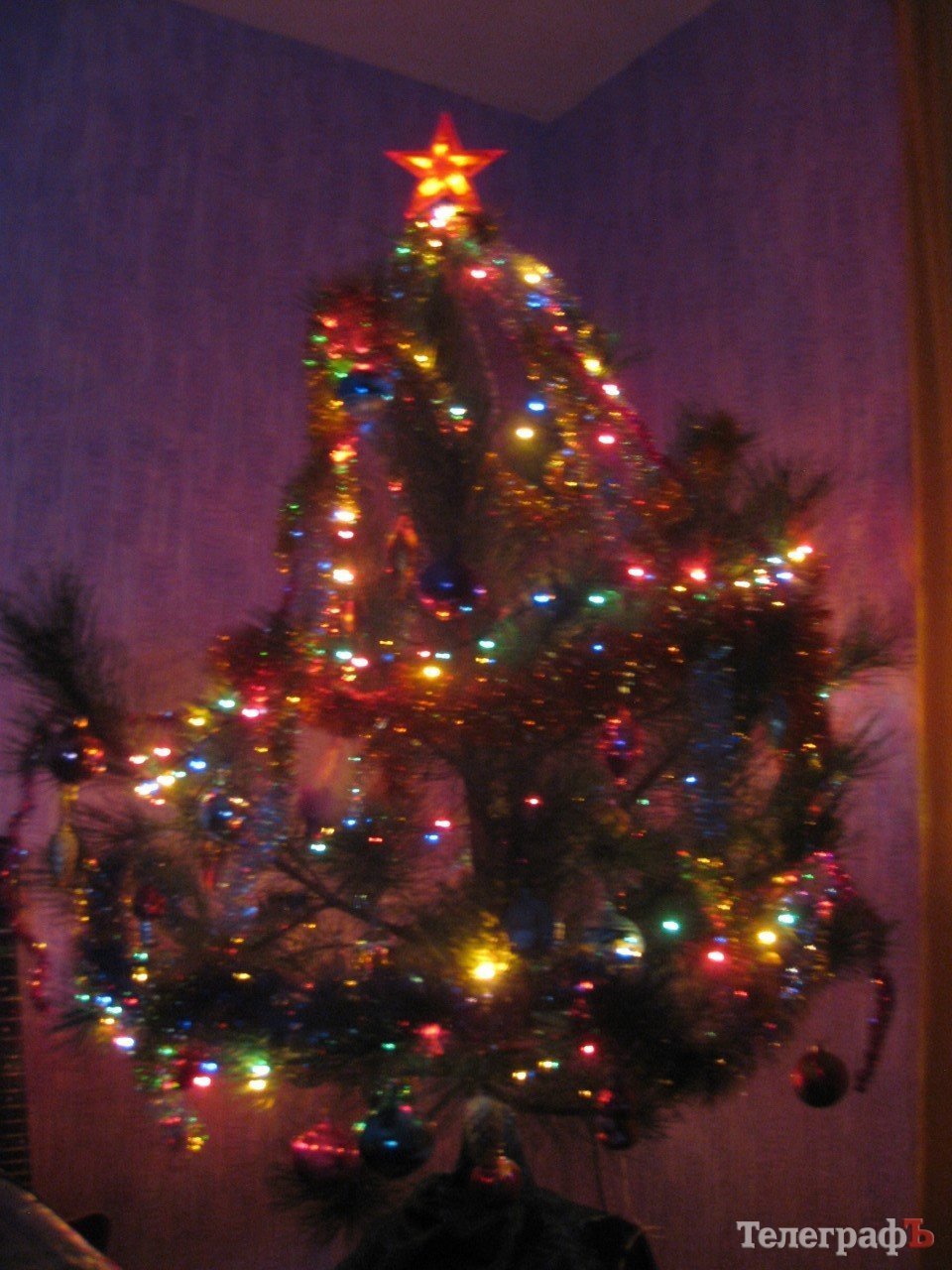 Похвастайся своей красоткой: присылайте нам свои новогодние ёлки Похвастайся своей красоткой: присылайте нам свои новогодние ёлки