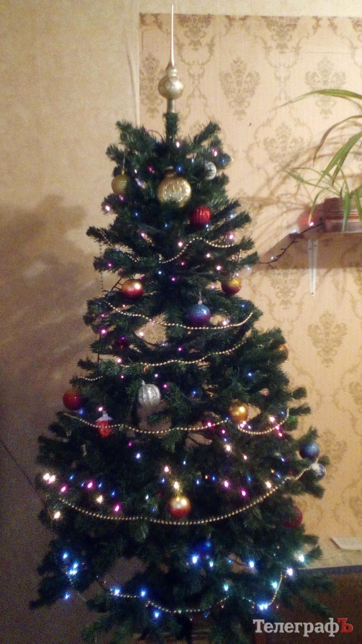 Похвастайся своей красоткой: присылайте нам свои новогодние ёлки Похвастайся своей красоткой: присылайте нам свои новогодние ёлки