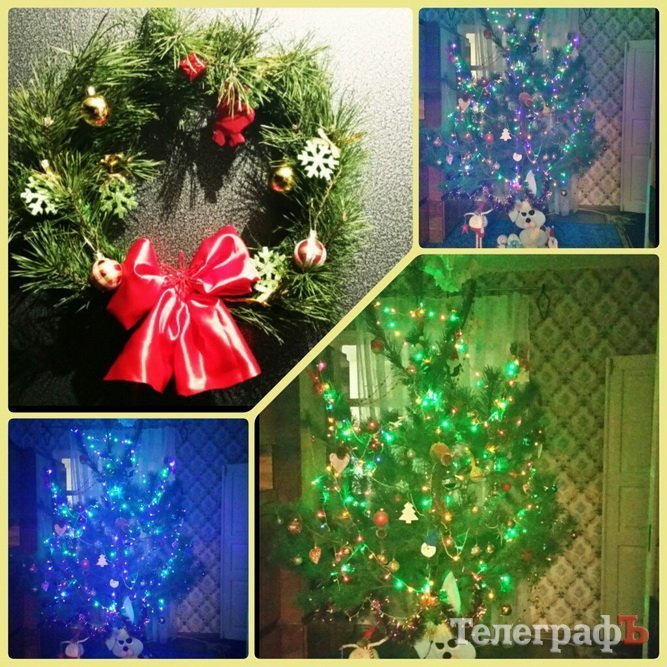 Похвастайся своей красоткой: присылайте нам свои новогодние ёлки Похвастайся своей красоткой: присылайте нам свои новогодние ёлки