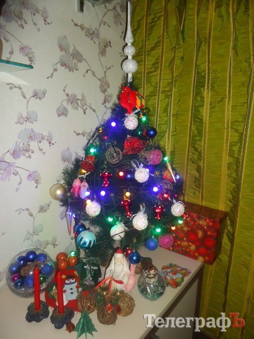 Похвастайся своей красоткой: присылайте нам свои новогодние ёлки Похвастайся своей красоткой: присылайте нам свои новогодние ёлки