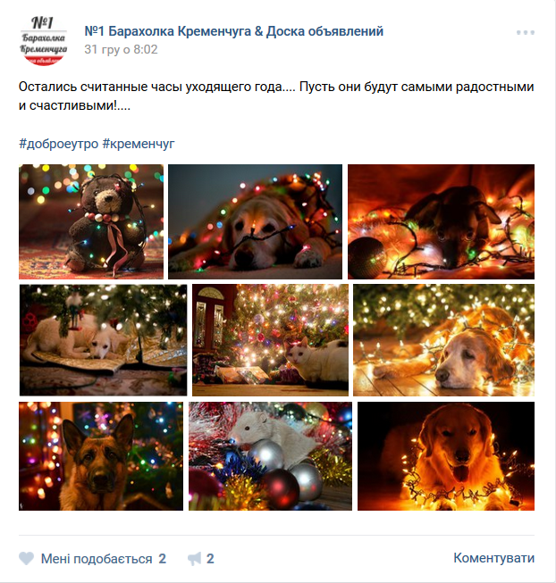 Предновогодний закат, домашние любимцы и городская ёлка: чем делились кременчужане в соцсетях на Новый год Предновогодний закат, домашние любимцы и городская ёлка: чем делились кременчужане в соцсетях на Новый год