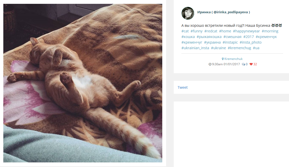 Предновогодний закат, домашние любимцы и городская ёлка: чем делились кременчужане в соцсетях на Новый год Предновогодний закат, домашние любимцы и городская ёлка: чем делились кременчужане в соцсетях на Новый год