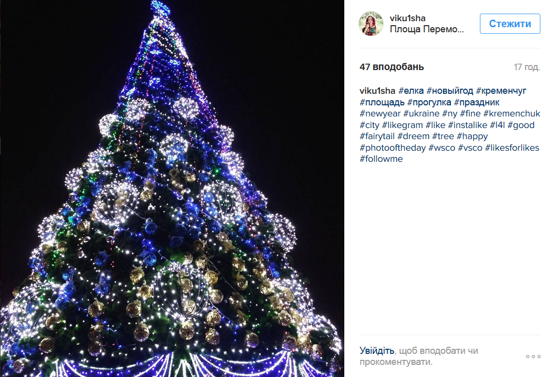 Предновогодний закат, домашние любимцы и городская ёлка: чем делились кременчужане в соцсетях на Новый год Предновогодний закат, домашние любимцы и городская ёлка: чем делились кременчужане в соцсетях на Новый год