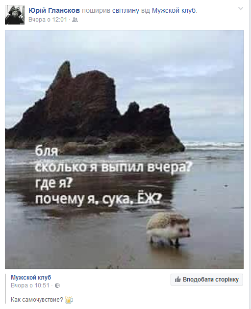 Предновогодний закат, домашние любимцы и городская ёлка: чем делились кременчужане в соцсетях на Новый год Предновогодний закат, домашние любимцы и городская ёлка: чем делились кременчужане в соцсетях на Новый год