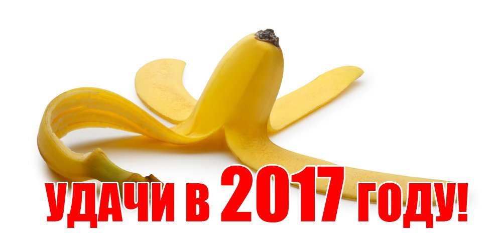 Что досталось Кременчугу от огненных обезьян Что досталось Кременчугу от огненных обезьян