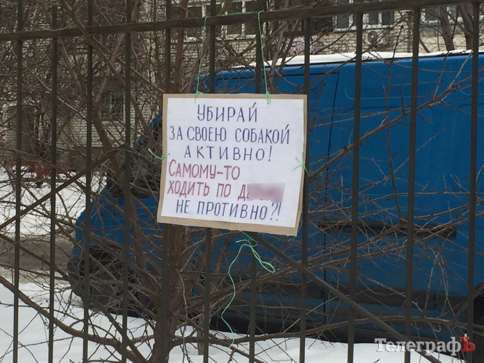 Фотофакт: а как вы боретесь с собачниками? Фотофакт: а как вы боретесь с собачниками?