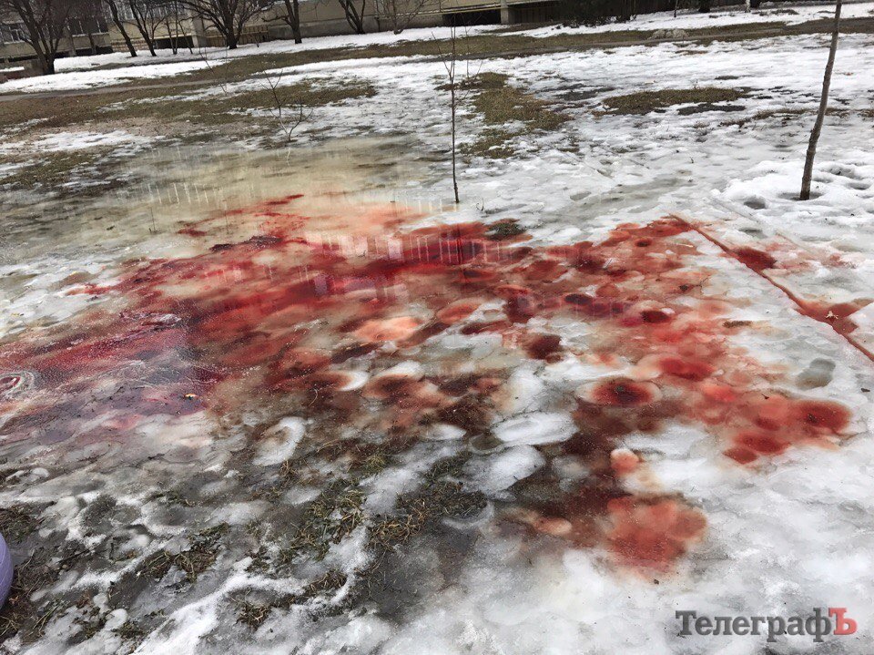 Фотофакт: криваві калюжі на Молодіжному Фотофакт: криваві калюжі на Молодіжному