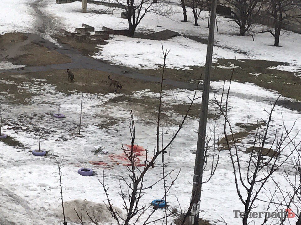 Фотофакт: криваві калюжі на Молодіжному Фотофакт: криваві калюжі на Молодіжному