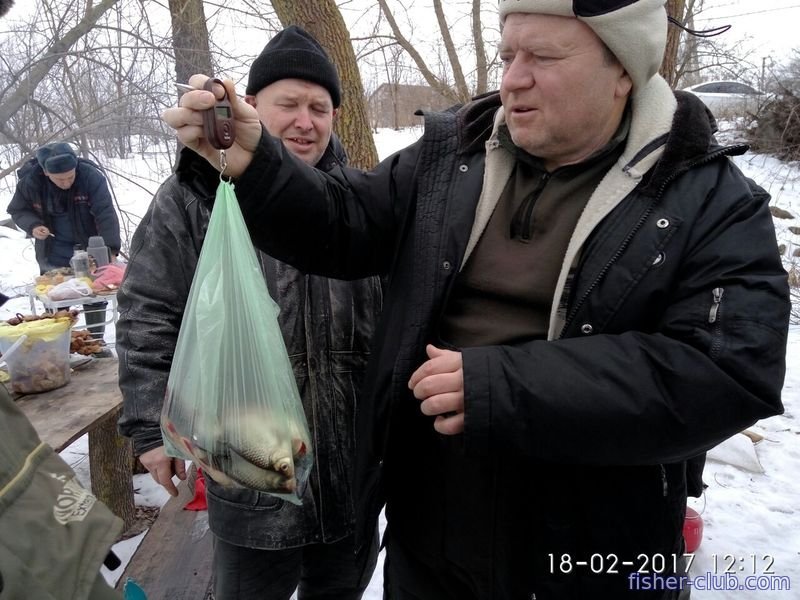 Кременчугские рыбаки выбрали лучшего пингвина Кременчугские рыбаки выбрали лучшего пингвина