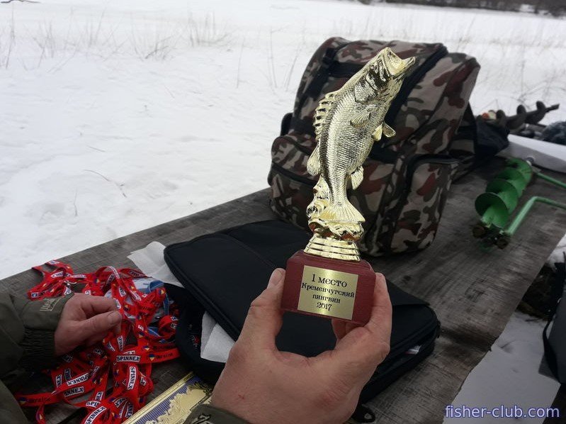 Кременчугские рыбаки выбрали лучшего пингвина Кременчугские рыбаки выбрали лучшего пингвина