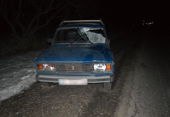 На Полтавщине ВАЗ сбил двоих велосипедистов: девушка погибла на месте На Полтавщине ВАЗ сбил двоих велосипедистов: девушка погибла на месте